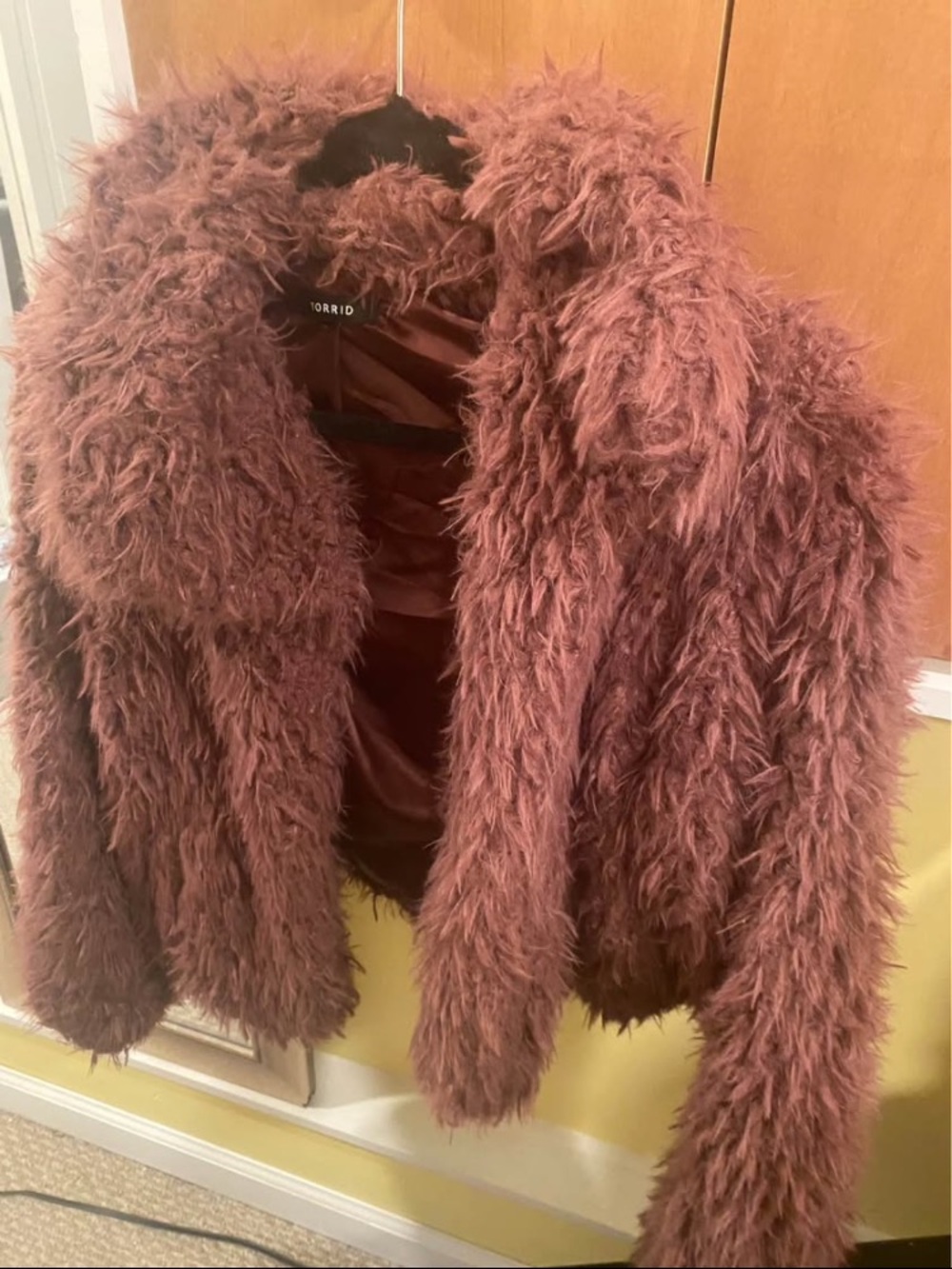 torrid Plush Faux Fur Jacket in Rosewood